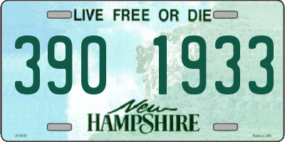 NH license plate 3901933