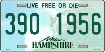 NH license plate 3901956