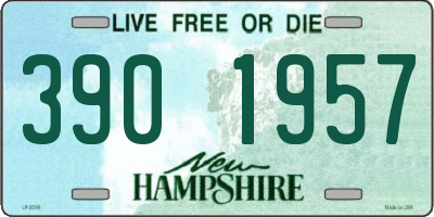 NH license plate 3901957