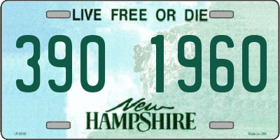 NH license plate 3901960