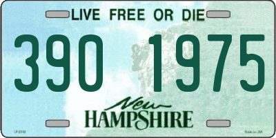 NH license plate 3901975