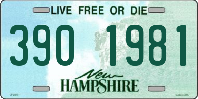 NH license plate 3901981