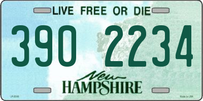 NH license plate 3902234