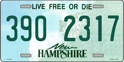 NH license plate 3902317