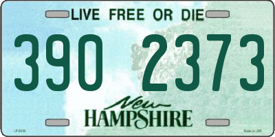 NH license plate 3902373