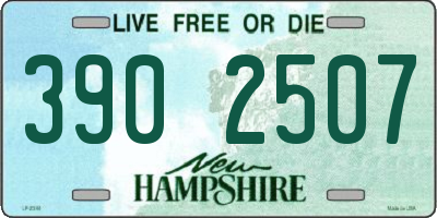 NH license plate 3902507
