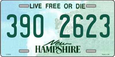 NH license plate 3902623