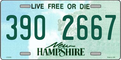 NH license plate 3902667