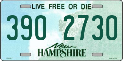 NH license plate 3902730