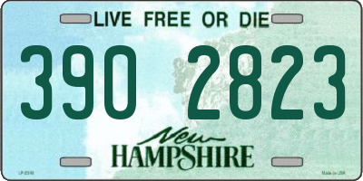 NH license plate 3902823