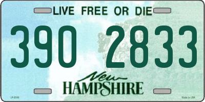 NH license plate 3902833