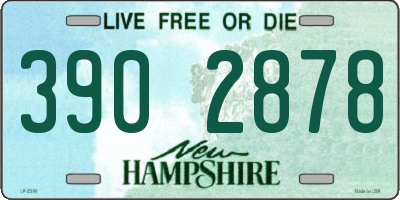 NH license plate 3902878