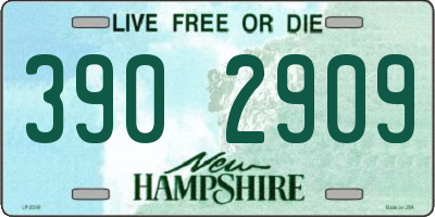 NH license plate 3902909