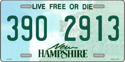 NH license plate 3902913