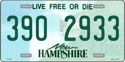 NH license plate 3902933