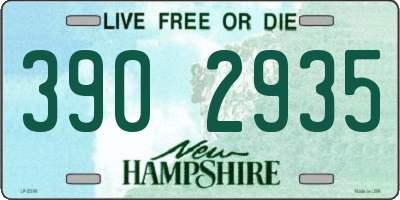 NH license plate 3902935