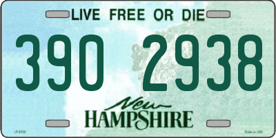 NH license plate 3902938