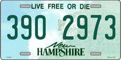 NH license plate 3902973