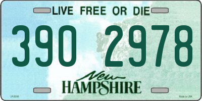 NH license plate 3902978