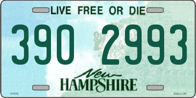 NH license plate 3902993