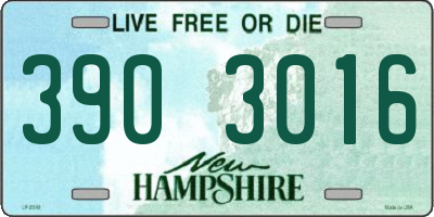 NH license plate 3903016