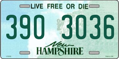 NH license plate 3903036
