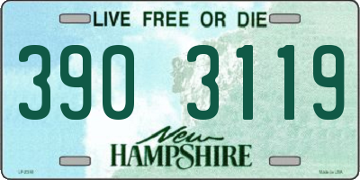 NH license plate 3903119