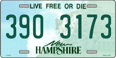 NH license plate 3903173