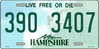 NH license plate 3903407