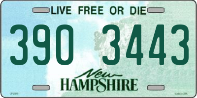 NH license plate 3903443