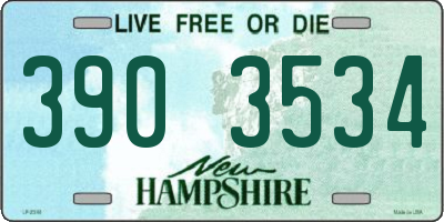 NH license plate 3903534