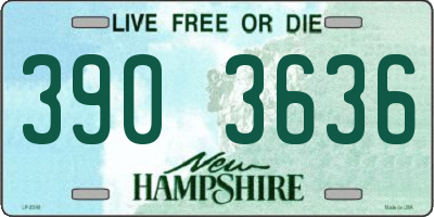 NH license plate 3903636