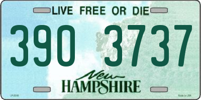 NH license plate 3903737