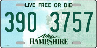 NH license plate 3903757