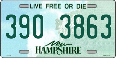 NH license plate 3903863