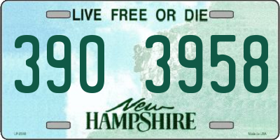 NH license plate 3903958