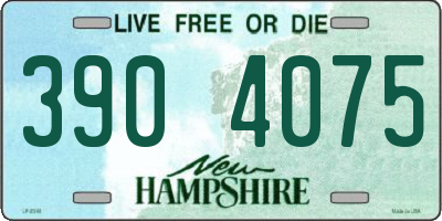 NH license plate 3904075