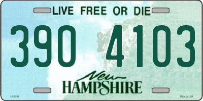 NH license plate 3904103