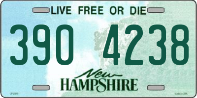 NH license plate 3904238