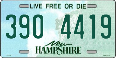 NH license plate 3904419