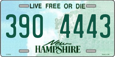 NH license plate 3904443