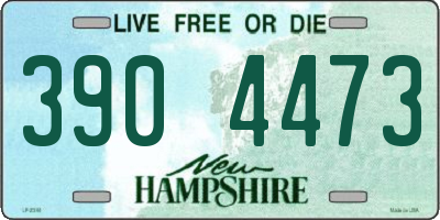 NH license plate 3904473