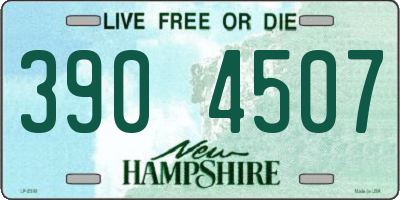 NH license plate 3904507