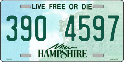 NH license plate 3904597
