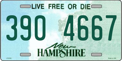 NH license plate 3904667