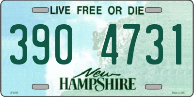 NH license plate 3904731