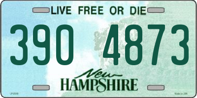 NH license plate 3904873