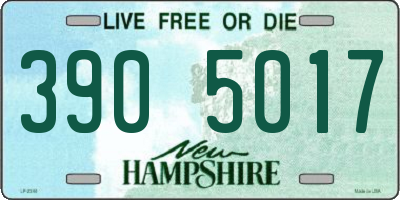 NH license plate 3905017