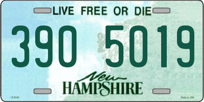 NH license plate 3905019