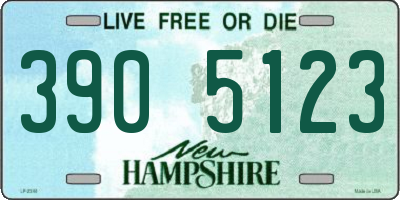 NH license plate 3905123